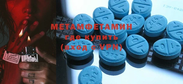 прущие грибы Братск