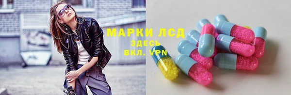 прущие грибы Братск