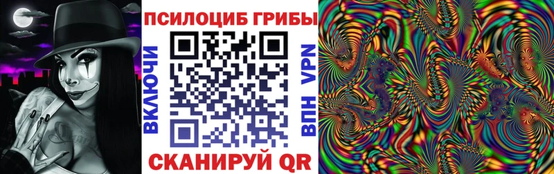 Галлюциногенные грибы Psilocybine cubensis  Купить где  Ядрин 